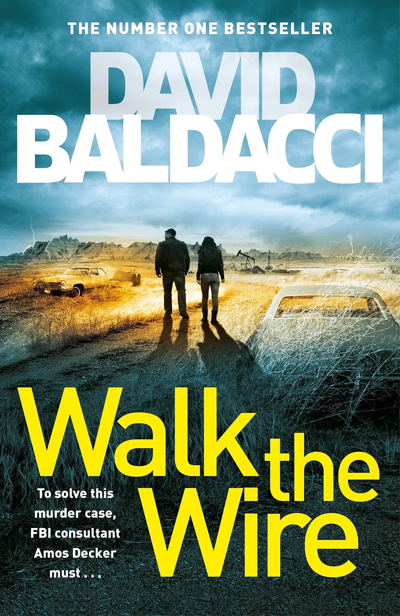 Walk the Wire book cover