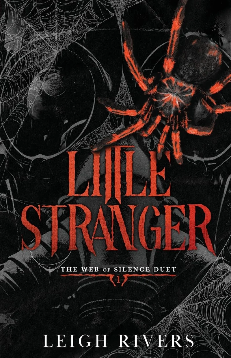 Little Stranger: A Dark Taboo Romance book cover