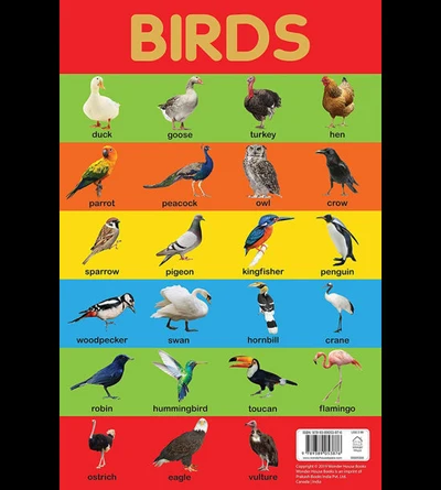 Birds Chart - Early Learning Educational Chart For Kids: Perfect For Homeschooli