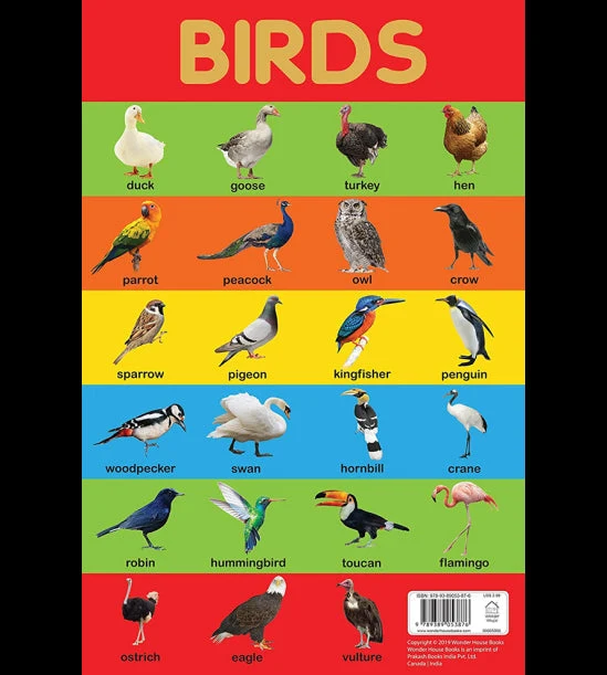 Birds Chart - Early Learning Educational Chart For Kids: Perfect For Homeschooli book cover