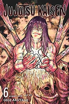 Jujutsu Kaisen Vol 6 book cover