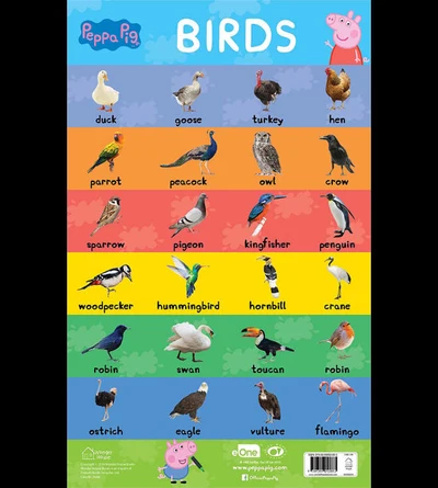 Learn with Peppa : Early Learning Birds Chart for Children