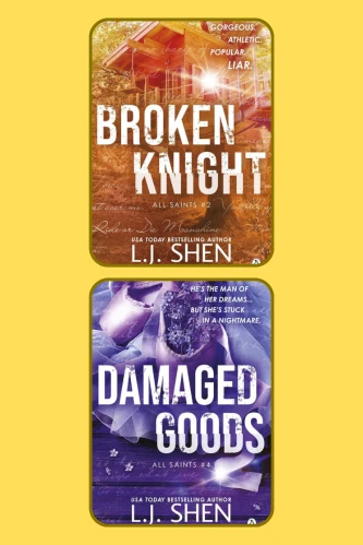 Combo Broken Knight Damaged Goods book cover