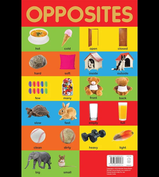 Opposites Chart - Early Learning Educational Chart For Kids: Perfect For Homesch book cover