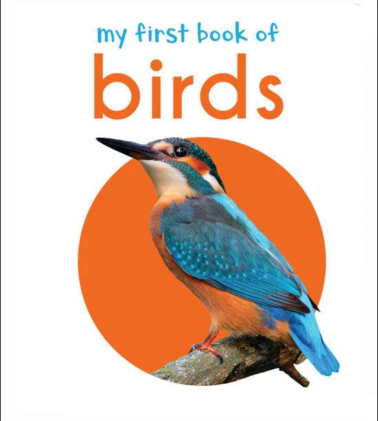 My First Book of Birds: First Board Book book cover