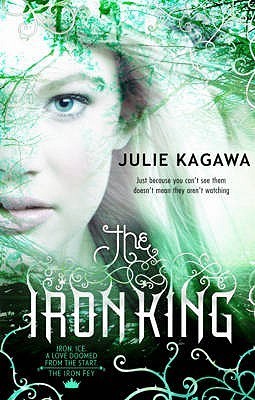 The Iron King book cover