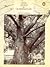 Gods, Graves and Grandmother book cover