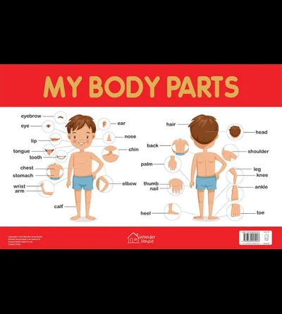 My Body Parts Chart - Early Learning Educational Chart For Kids: Perfect For Hom