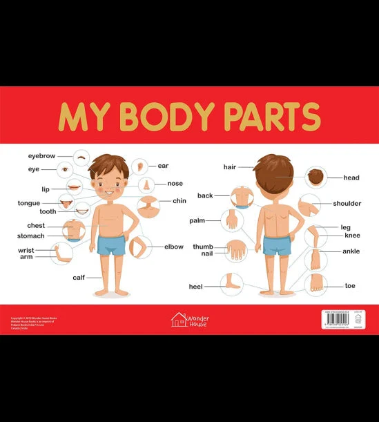 My Body Parts Chart - Early Learning Educational Chart For Kids: Perfect For Hom book cover
